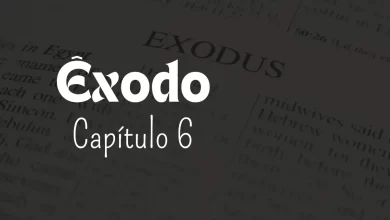 Exode, chapitre 6 - Graines de foi