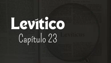 Levítico, Capítulo 23 - Semillas de fe