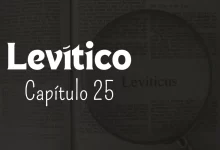 Levítico, Capítulo 25 - Sementes da Fé