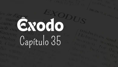 Exodus, Chapter 35 - Seeds of Faith