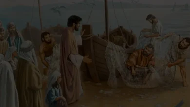 What did Andrew do when Jesus called him to become a disciple? - Seeds of Faith