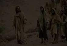 Czego Jezus kazał szukać swoim uczniom? Zrozumieć! - Nasiona wiary