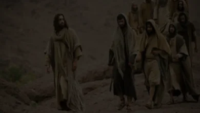 What did Jesus send his disciples to look for? Understand! - Seeds of Faith