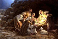 When Jesus was born according to the Bible - Seeds of faith