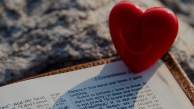Que verso de la biblia habla del amor - Seeds Of Faith