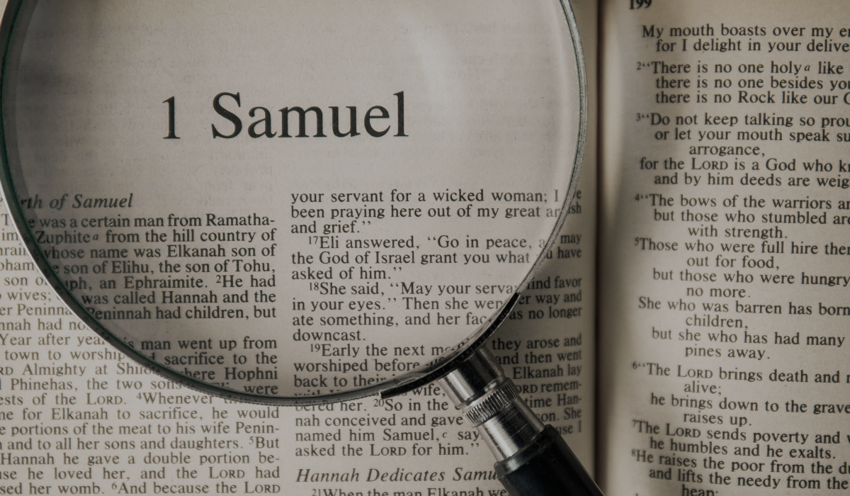 2 SAMUEL CAP 12  Palavras bíblicas, Bíblia frases, Versículos da bíblia