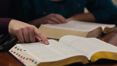 Orden der Bücher der Bibel – Samen des Glaubens