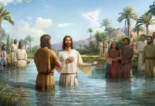 Who Baptized Jesus - Seeds of Faith