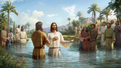 Who Baptized Jesus - Seeds of Faith